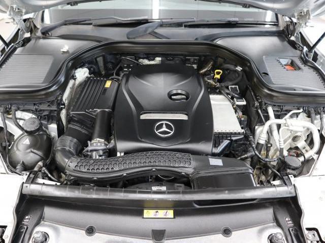24973825_carP_l_20.jpg