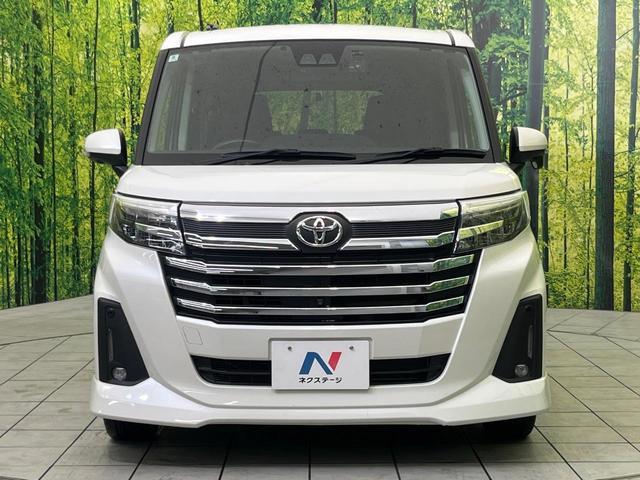24500986_carP_l_8.jpg