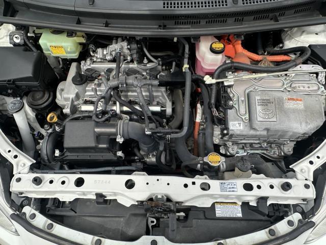 23281217_carP_l_17.jpg