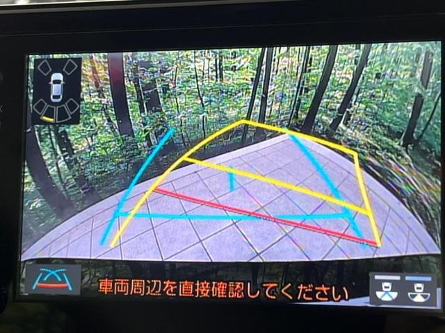 25179286_carP_l_4.jpg