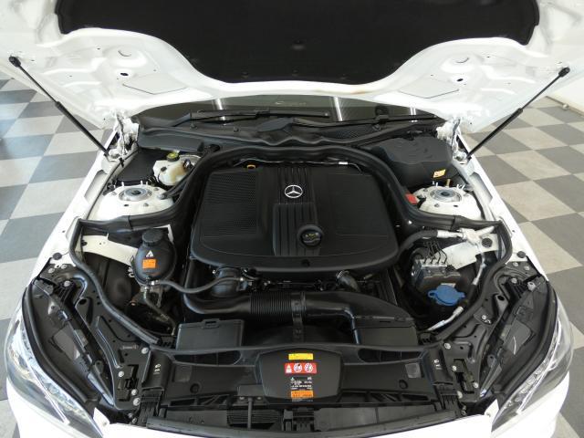 23281450_carP_l_18.jpg