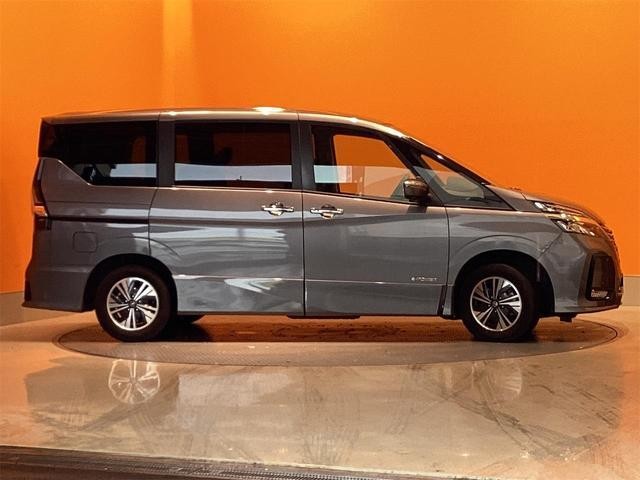 25132825_carP_l_14.jpg