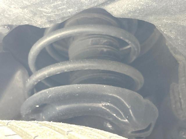 25673795_carP_l_20.jpg