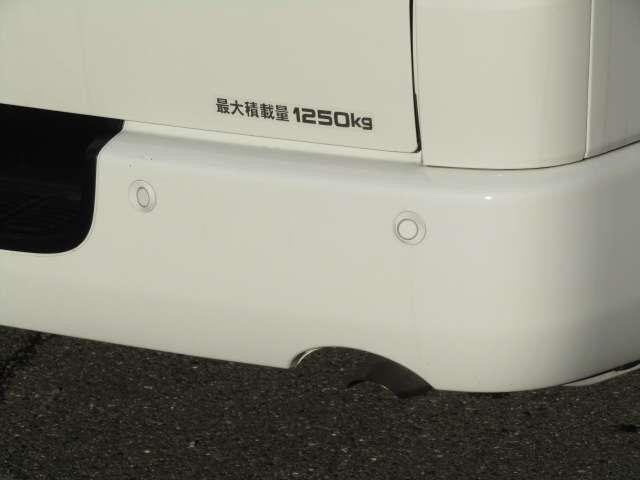 26845029_carP_l_5.jpg