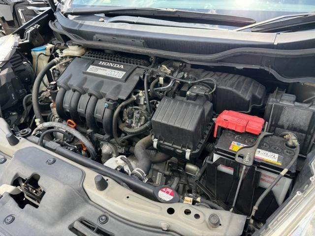 25982598_carP_l_11.jpg
