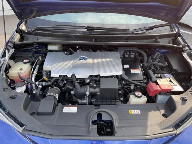 25220816_carP_l_18.jpg
