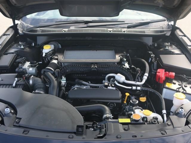 26174108_carP_l_17.jpg