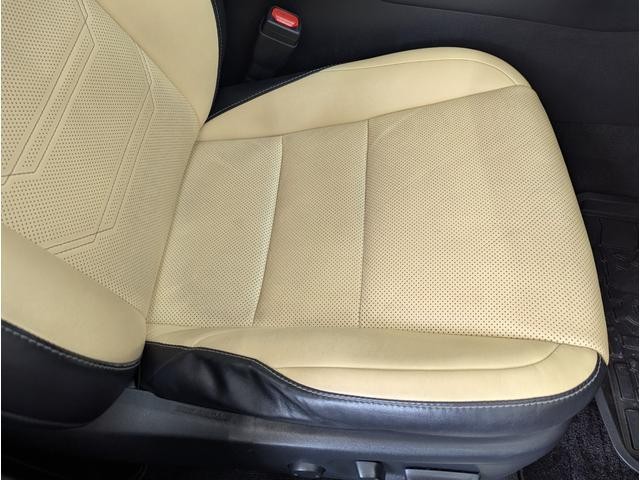 25918619_carP_l_9.jpg