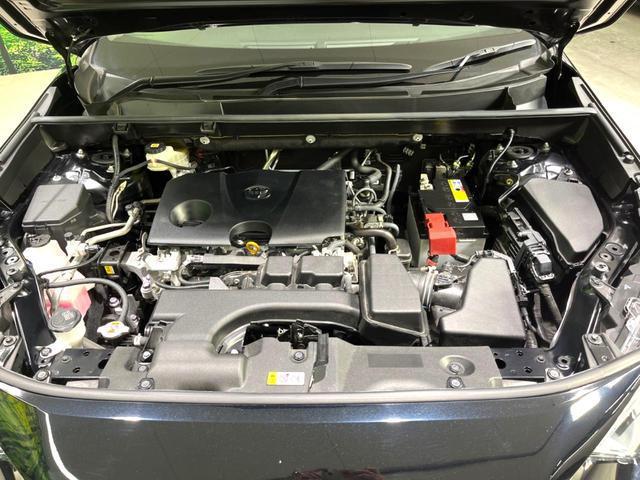 24828267_carP_l_18.jpg