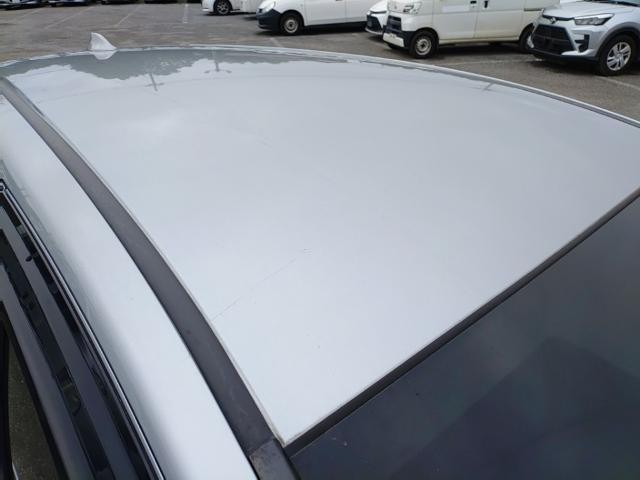27004174_carP_l_14.jpg