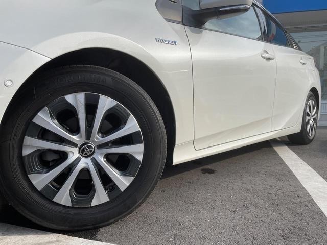25220817_carP_l_8.jpg