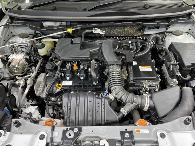 24280623_carP_l_16.jpg