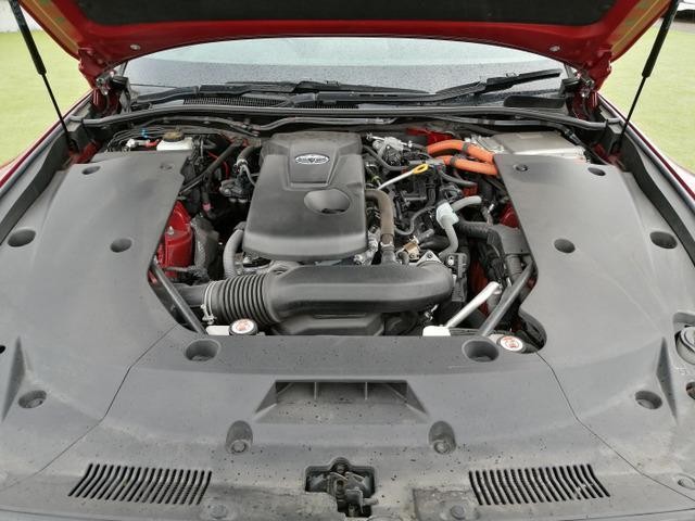 26741069_carP_l_19.jpg