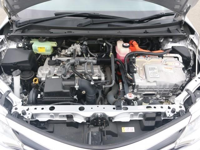 25928183_carP_l_17.jpg