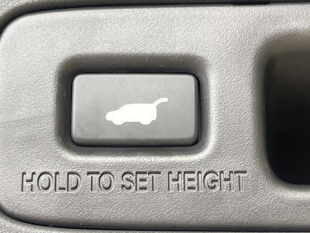 26272848_carP_l_14.jpg