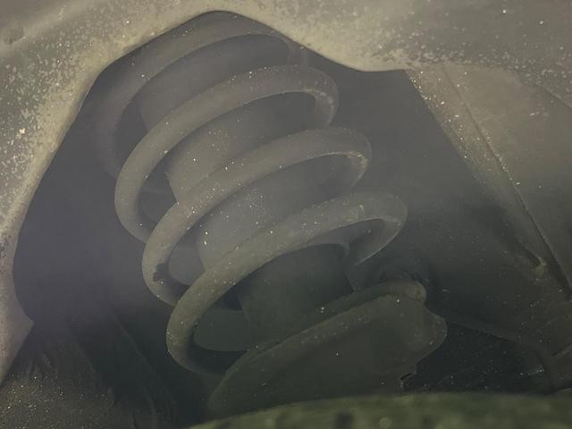 25486656_carP_l_20.jpg