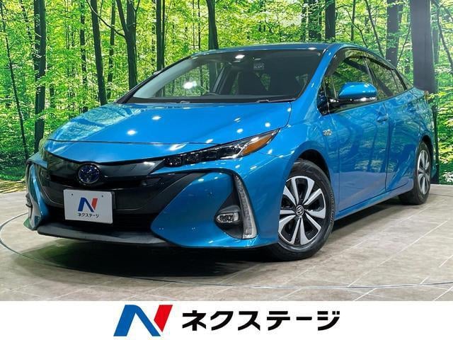 24622461_carP_l_1.jpg