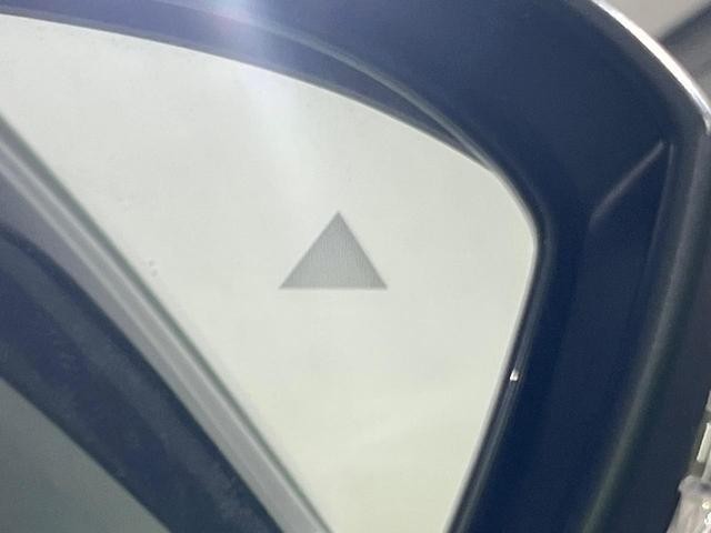 25486659_carP_l_14.jpg