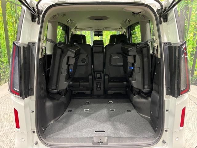 25486659_carP_l_6.jpg