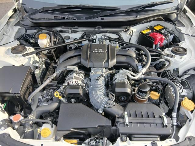 24420557_carP_l_19.jpg