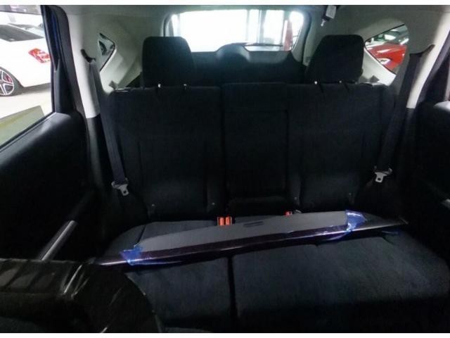 25617064_carP_l_4.jpg