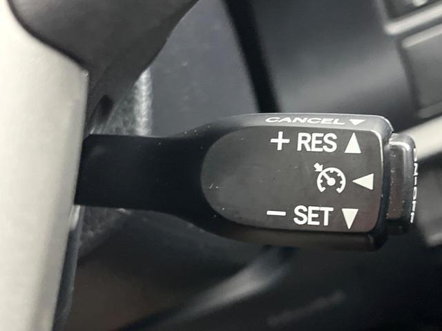 24239151_carP_l_14.jpg