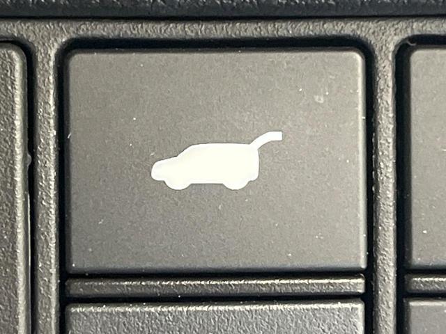 23965676_carP_l_13.jpg