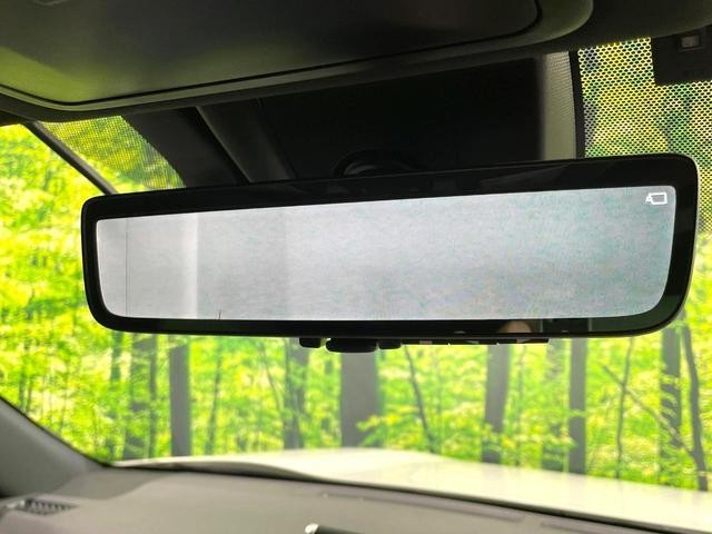 26578629_carP_l_17.jpg