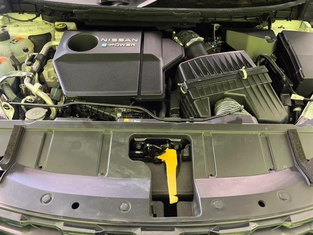 25632852_carP_l_16.jpg