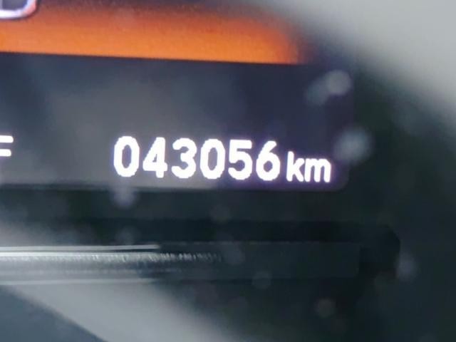 26182940_carP_l_2.jpg