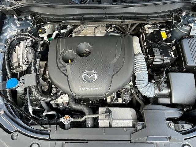 0207973A20260825D00112.jpg