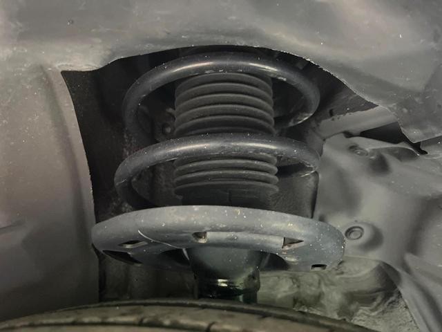 24602058_carP_l_20.jpg