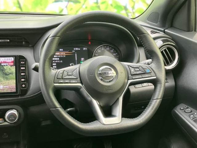 26386001_carP_l_11.jpg