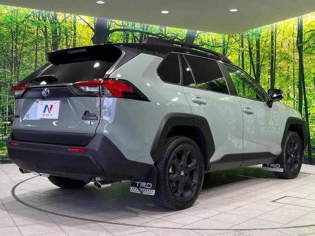 25179307_carP_l_12.jpg