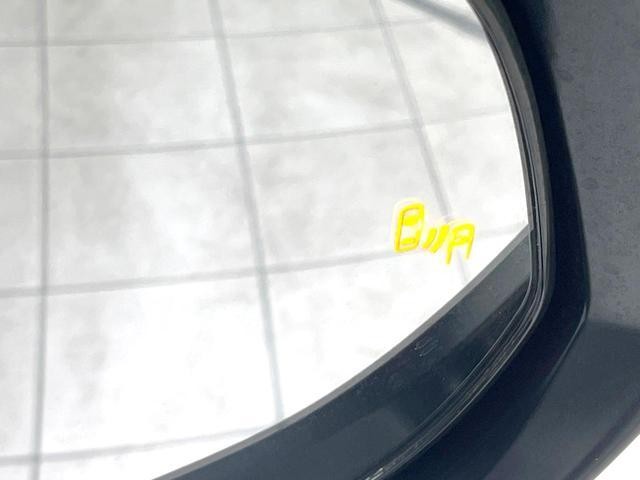 26426800_carP_l_10.jpg