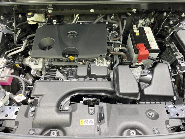 24828762_carP_l_16.jpg