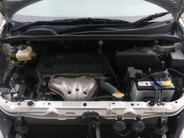 25225979_carP_l_17.jpg