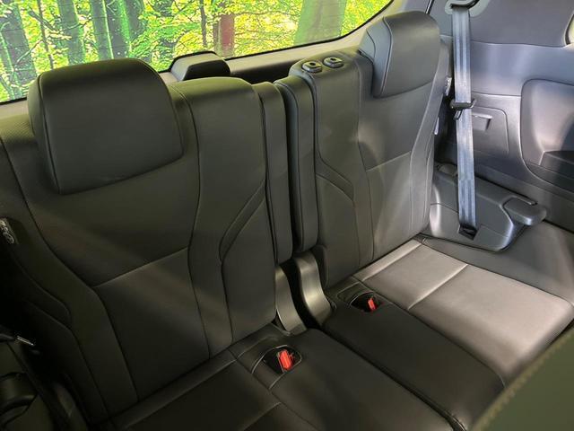 24280504_carP_l_2.jpg