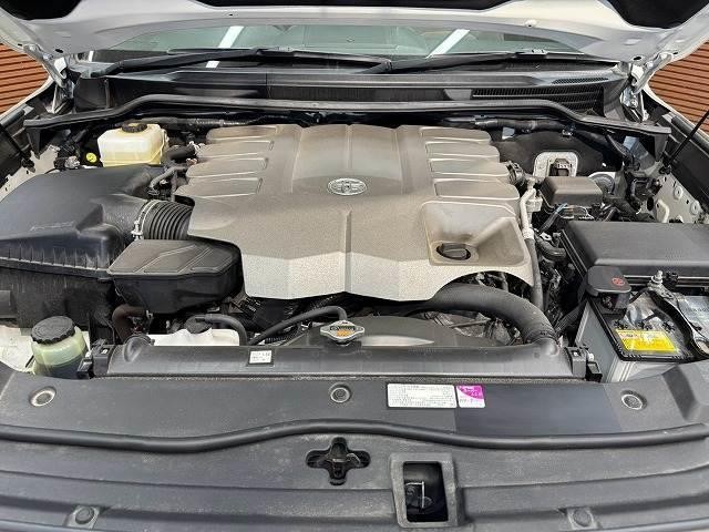 25378615_carP_l_20.jpg