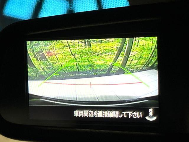 23965678_carP_l_13.jpg