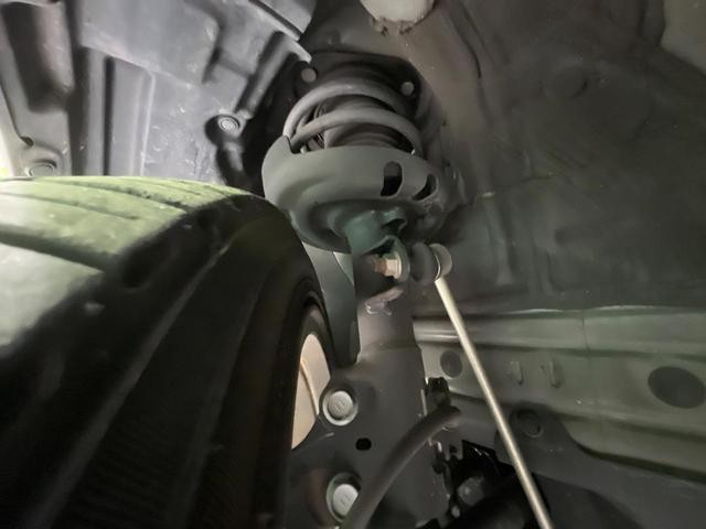 25632855_carP_l_20.jpg