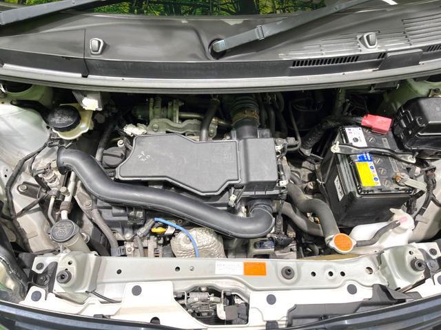 24133534_carP_l_16.jpg