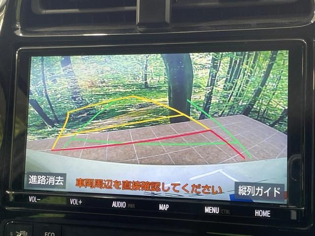 25263463_carP_l_4.jpg