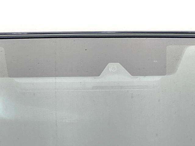 24421216_carP_l_10.jpg