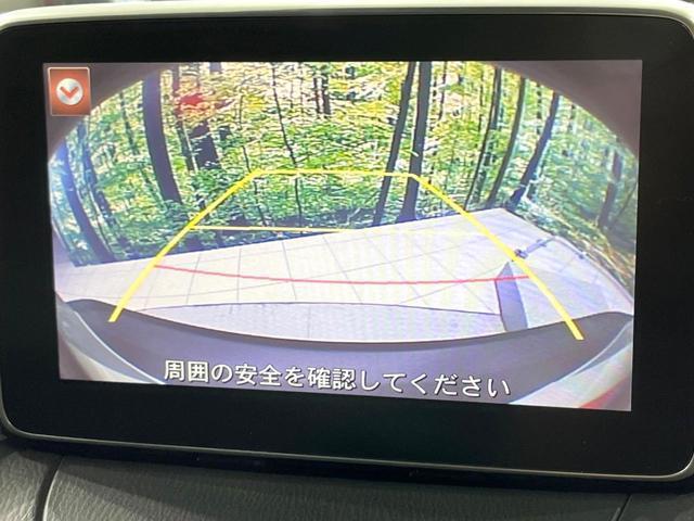 24828763_carP_l_10.jpg