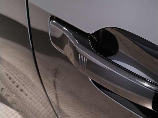 25301003_carP_l_11.jpg
