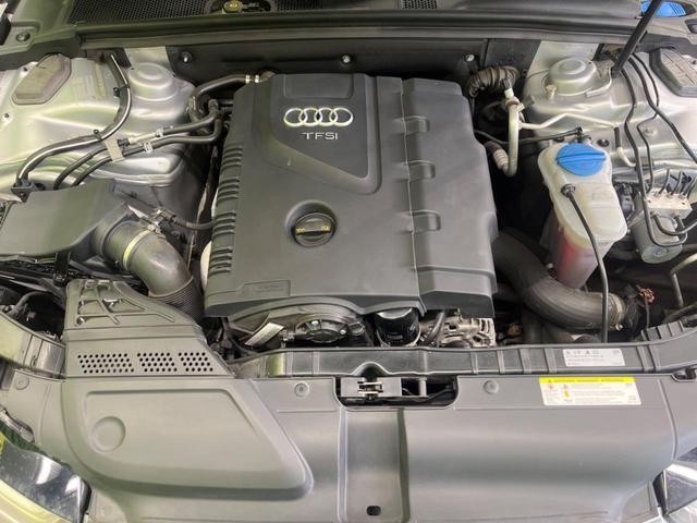 26043266_carP_l_16.jpg