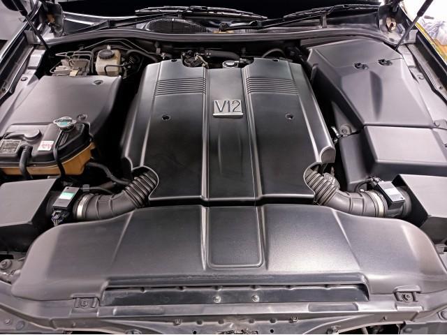 5319081_carP_l_12.jpg