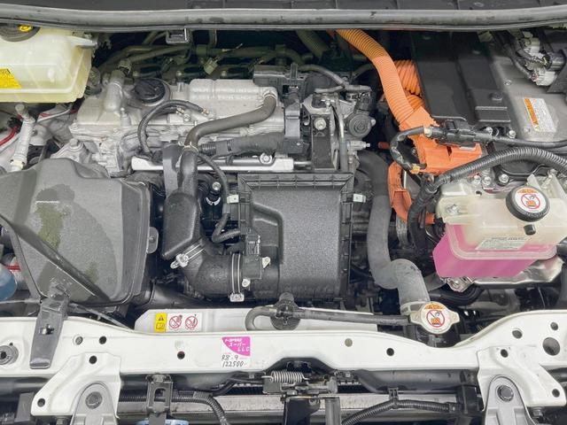 24828910_carP_l_16.jpg