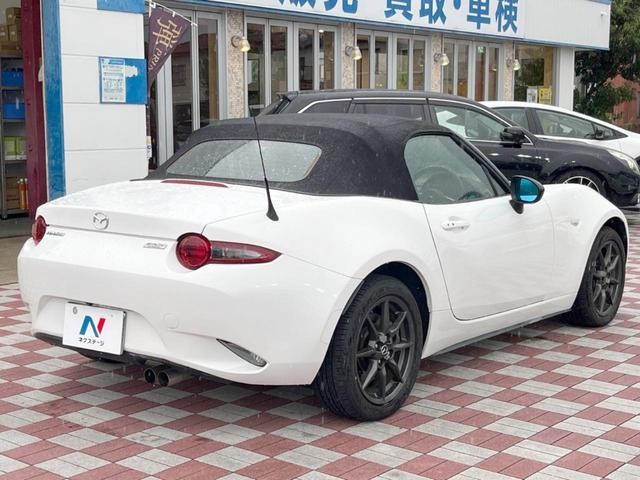 26292830_carP_l_12.jpg